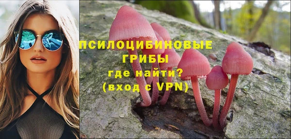 стаф Абаза