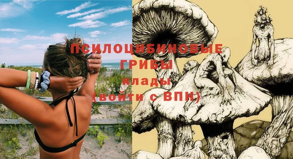 ешки Абдулино