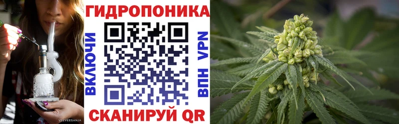 купить наркотик  Барыш  Канабис конопля 